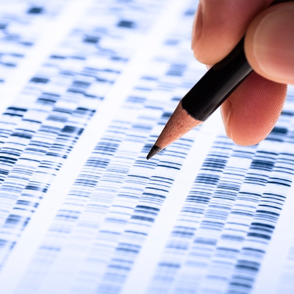 a person examining a DNA sequence