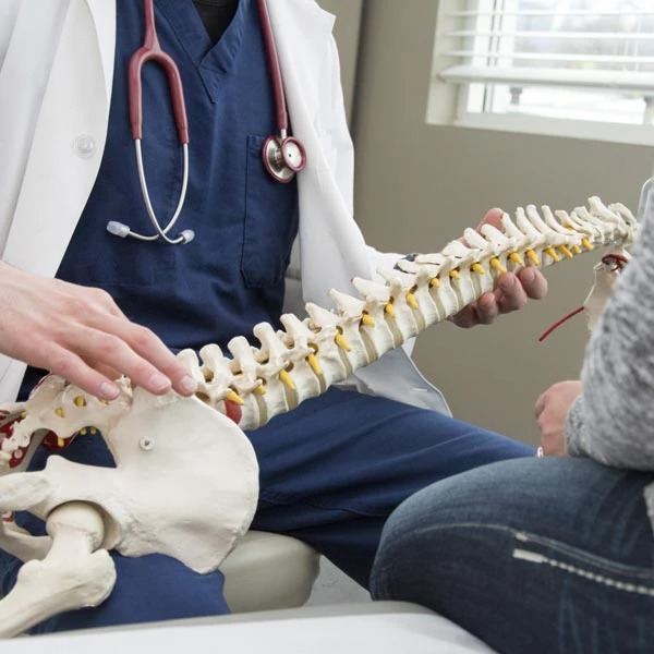 Doctor showing model of human spine to patient