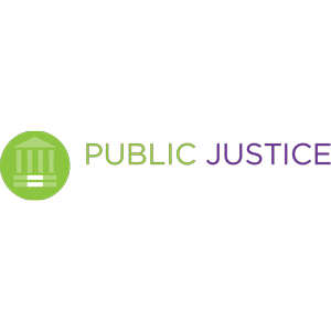 Public Justice Foundation logo