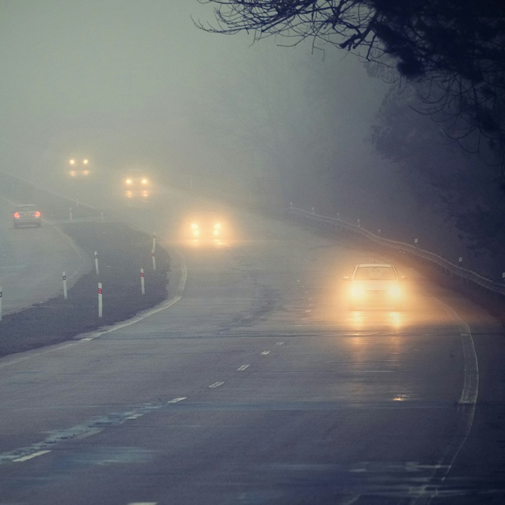 wet and foggy road