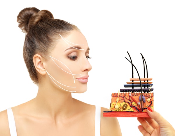 Woman looking at model of skin layers