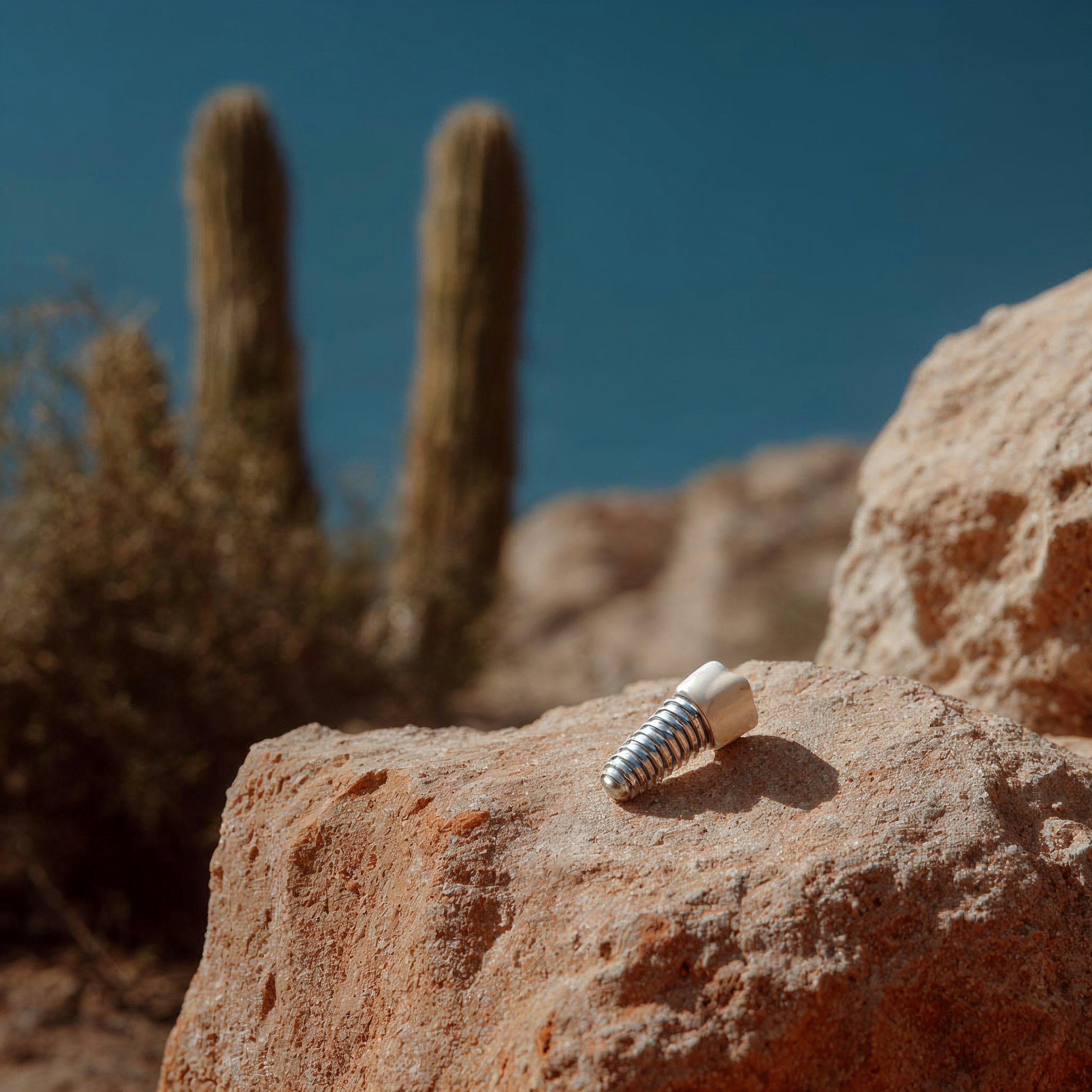 dental crown on a desert rock