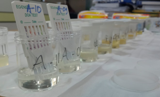 Drugs of abuse test