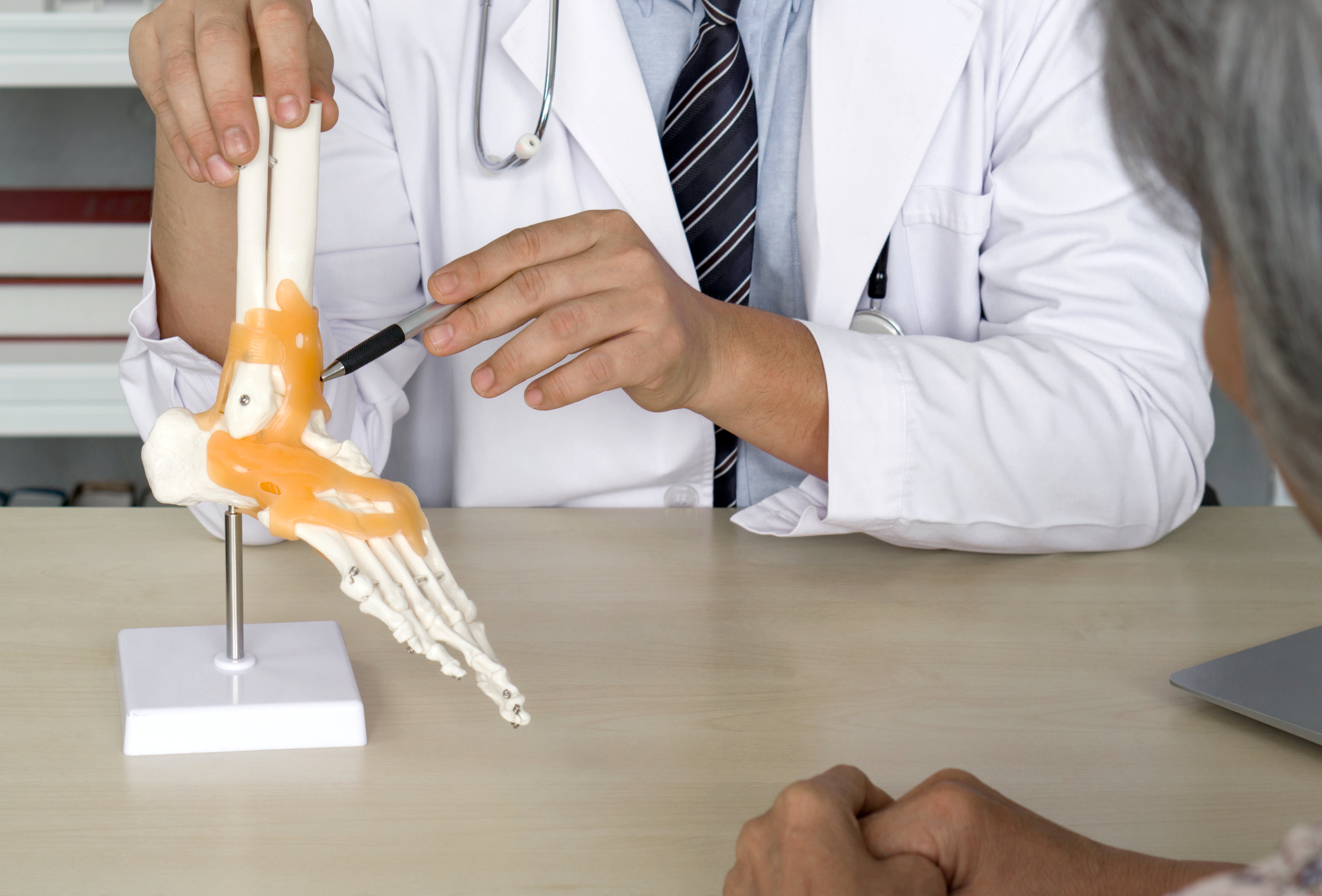 Doctor pointing to an ankle model