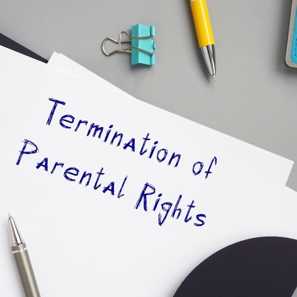 Termination of Parental Rights paperwork