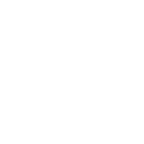 Texas Academy of Family Law Specialists Seal