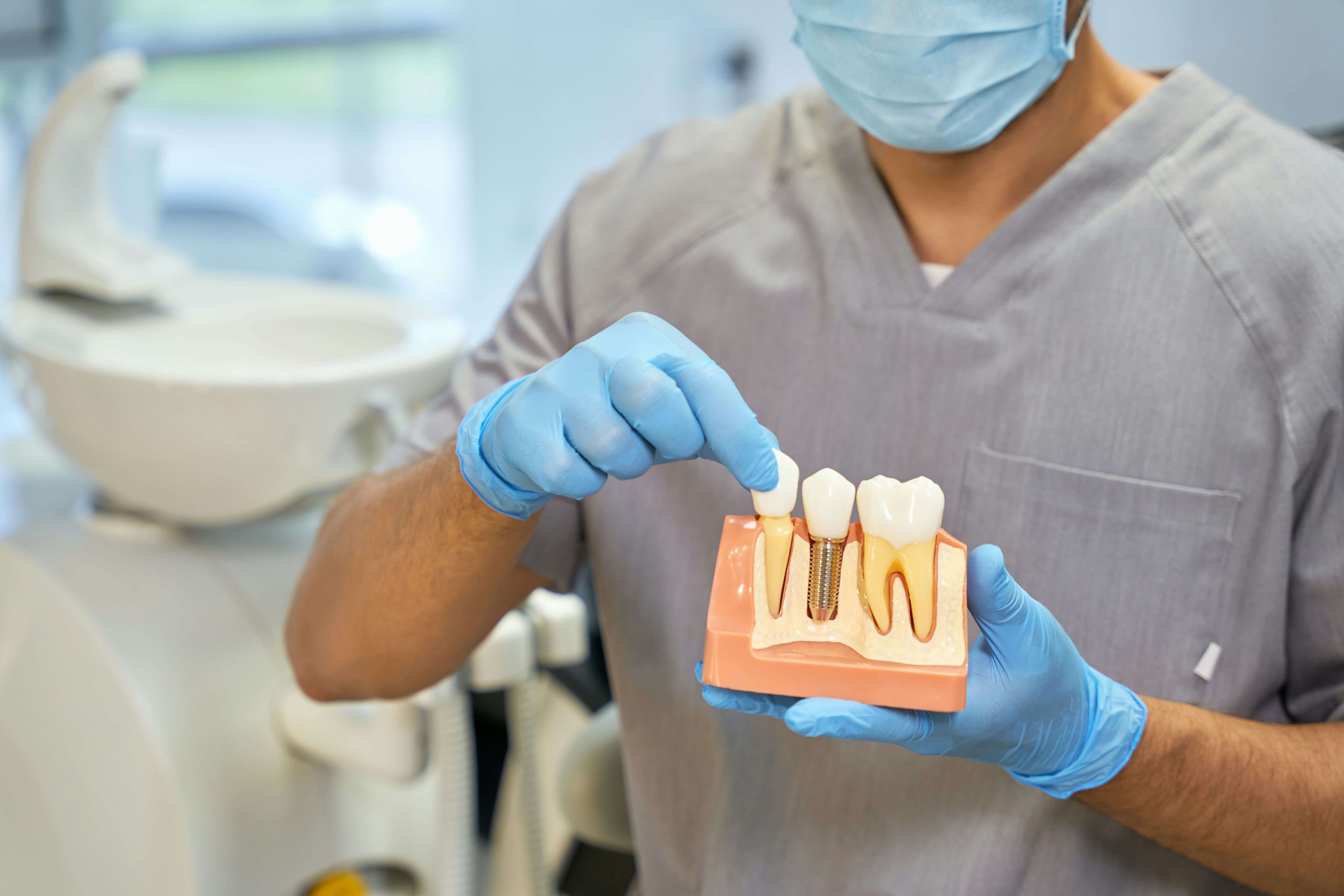 Dentist holding a physical model of an implant-supported dental crown
