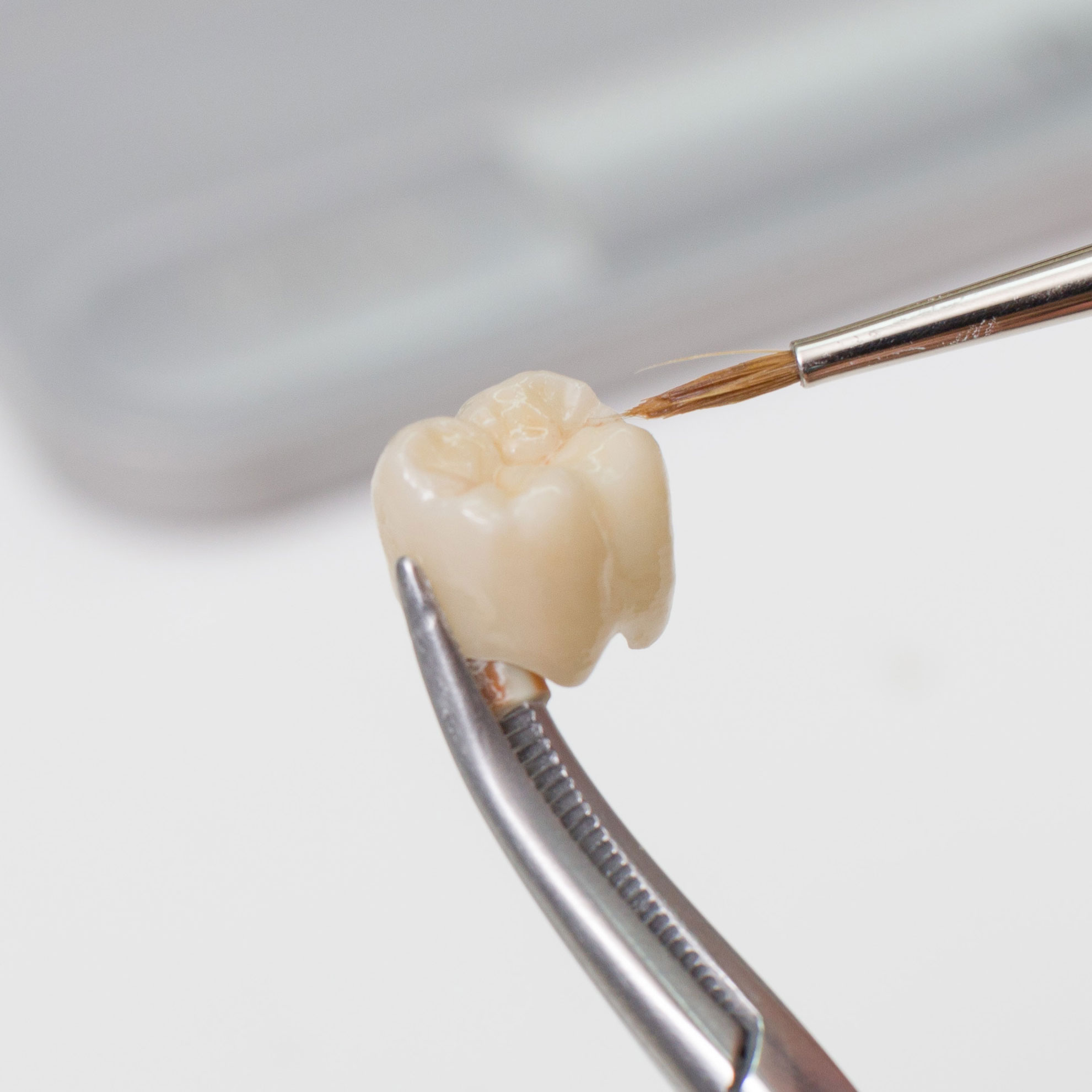 dental crown being hand finished
