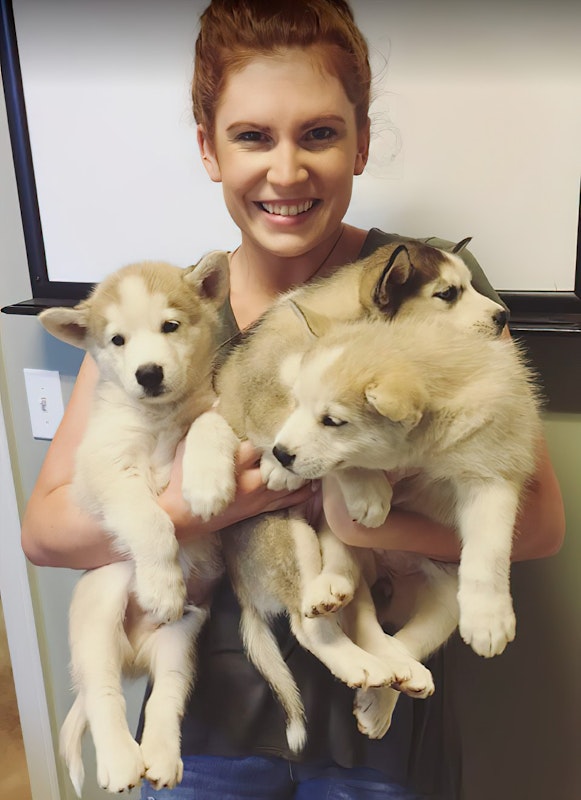 Veterinarian and puppies