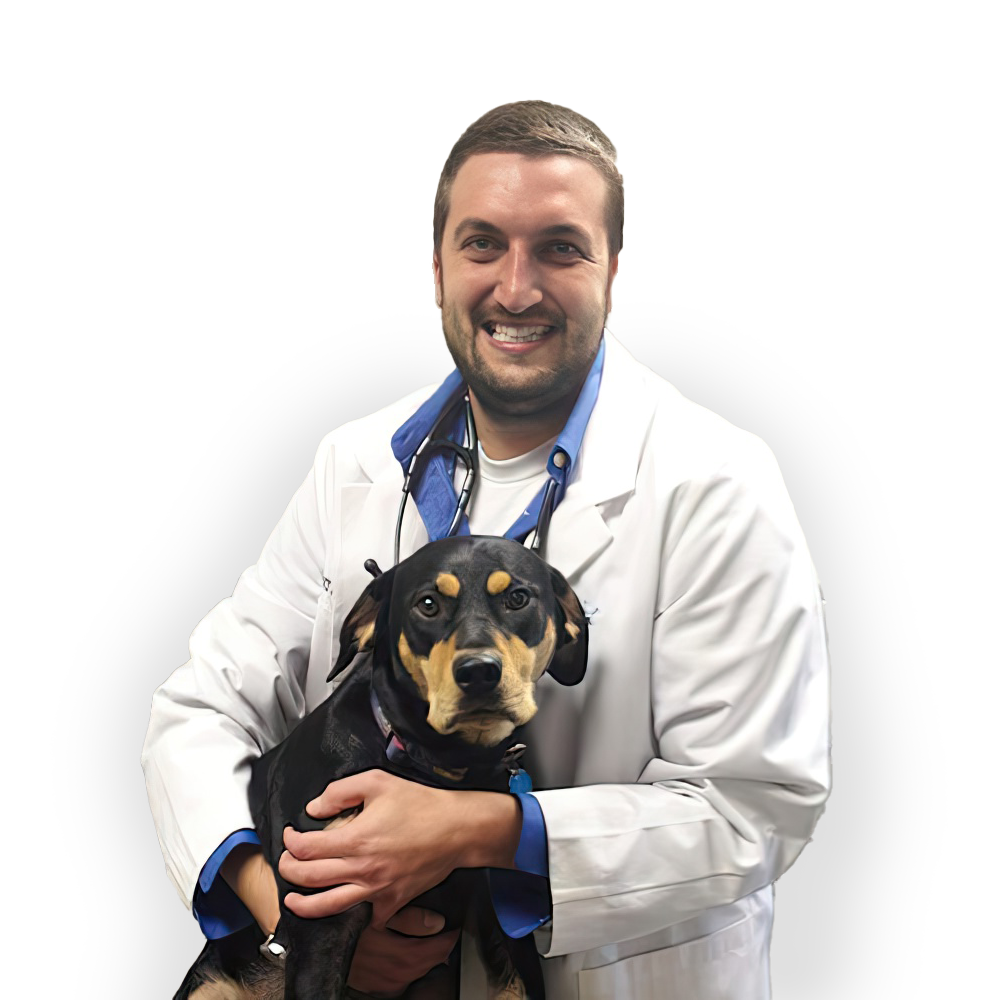 image of Dr. Julian Peckich