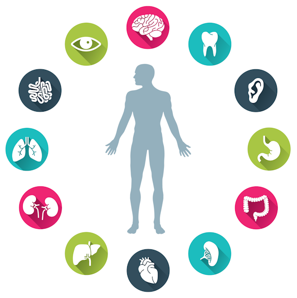 sleep apnea symptoms