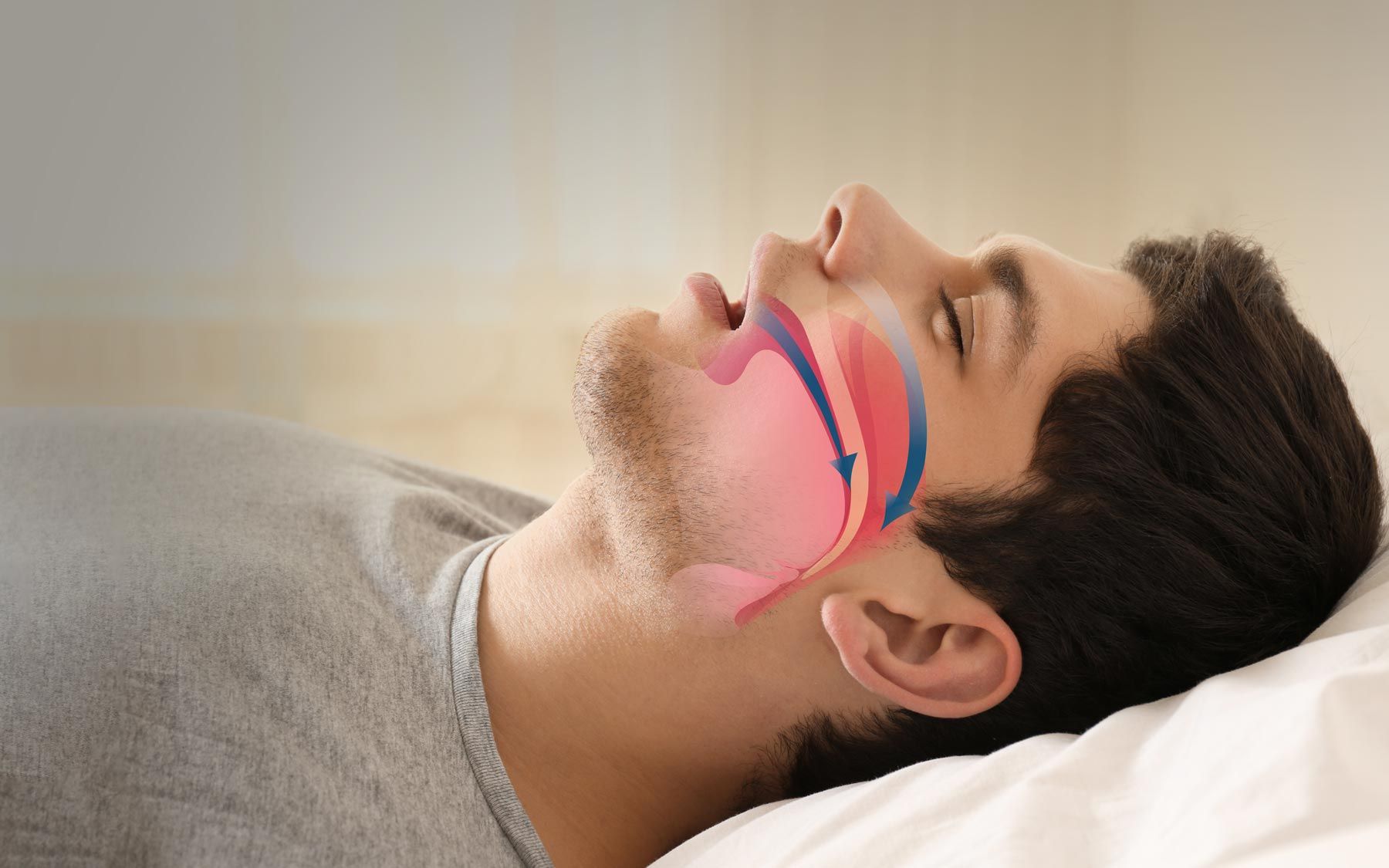 illustration showing flow of air through the airway