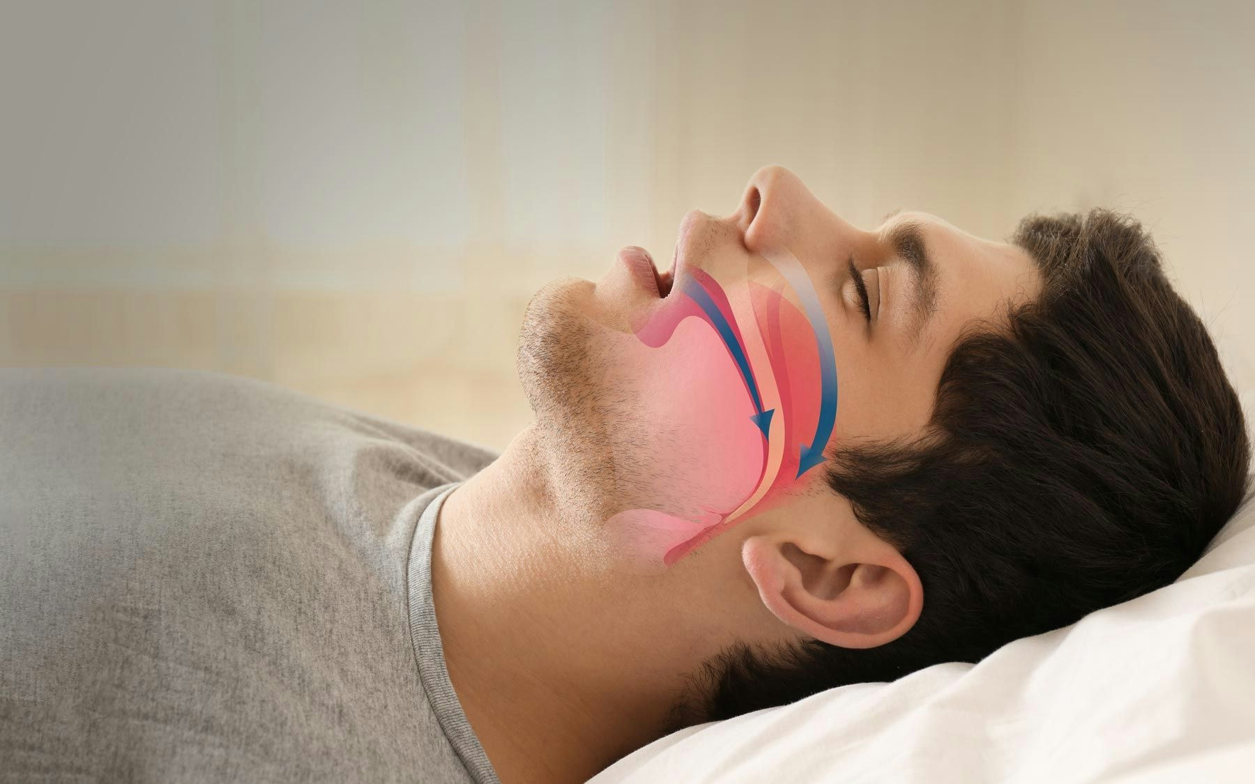 illustration showing flow of air through the airway