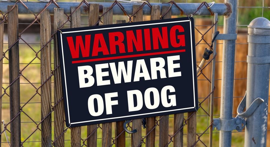 beware of dog