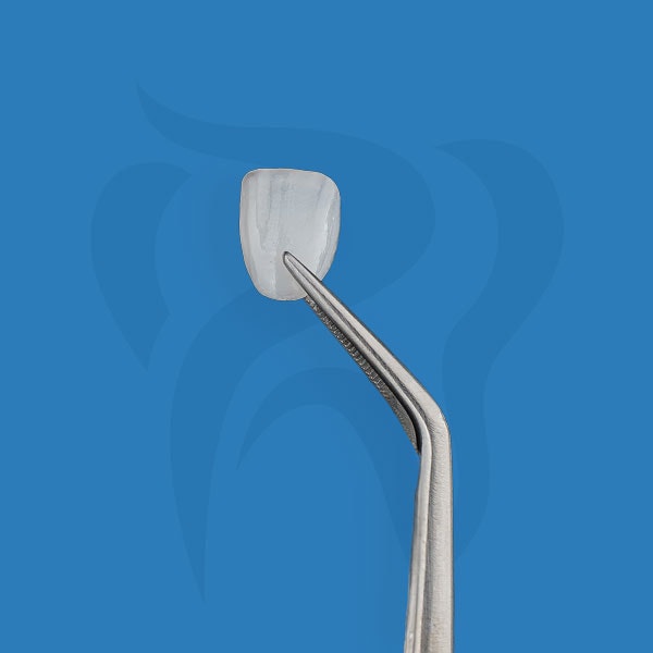 Woman comparing veneers shades