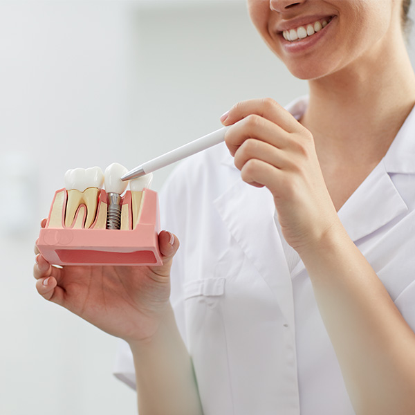 Dental professional showing a model of a dental crown
