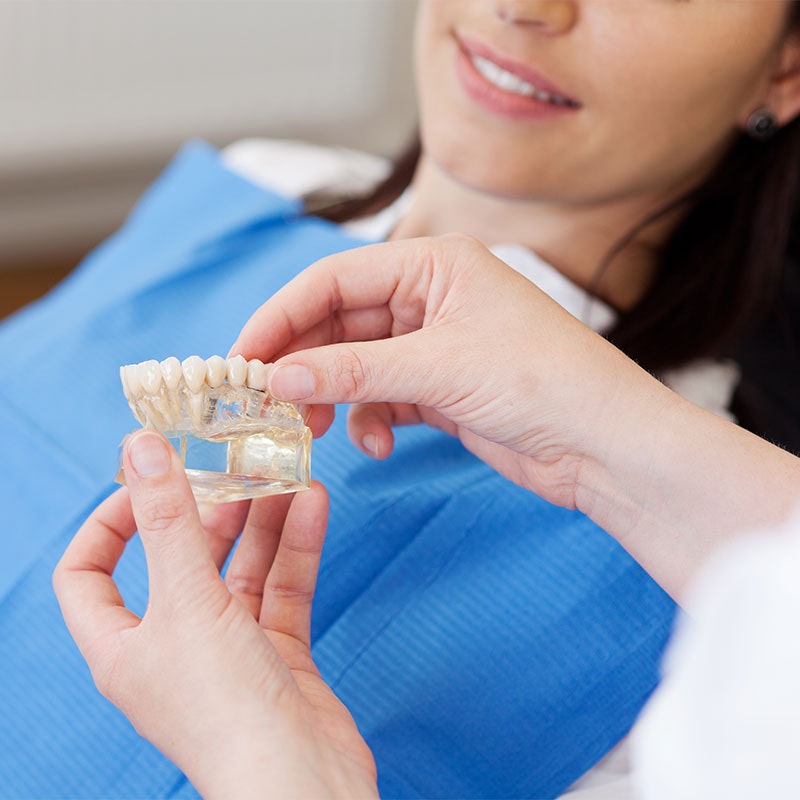 Dentist showing patient a model of dental crowns and implant-supported crowns