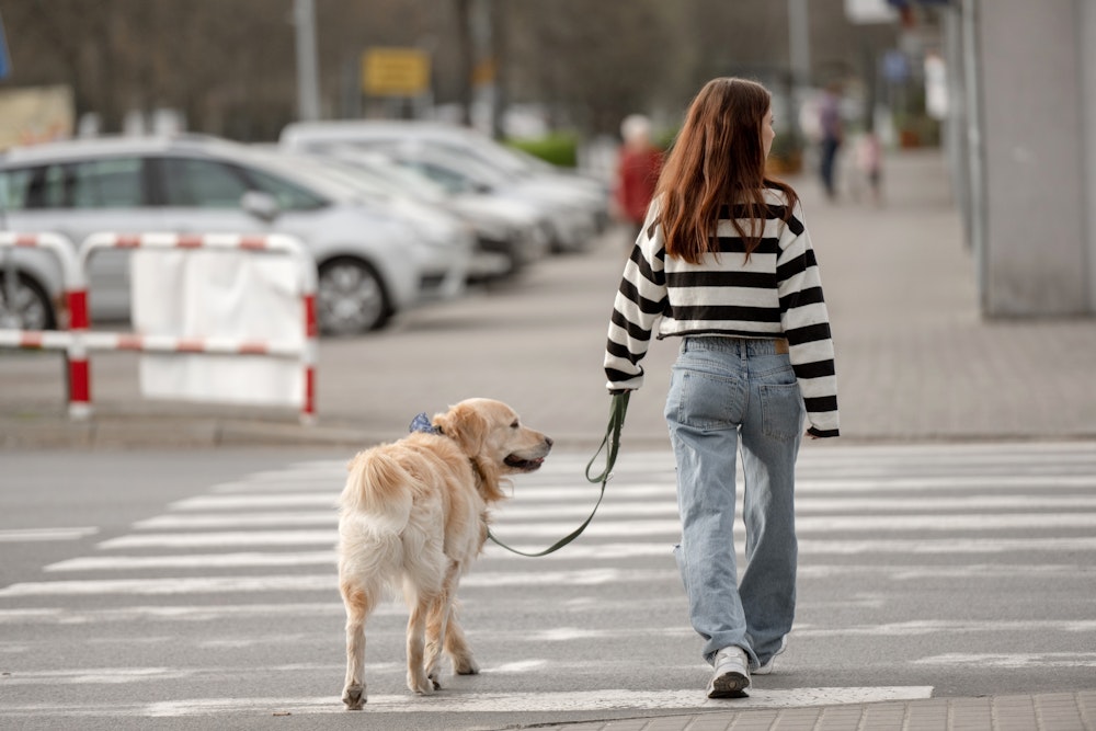 Girl walking her dog across the street