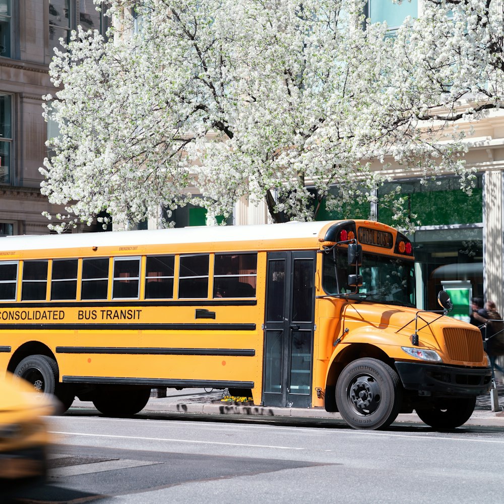 School bus by curb