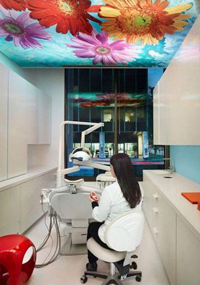 dentist in modern exam room