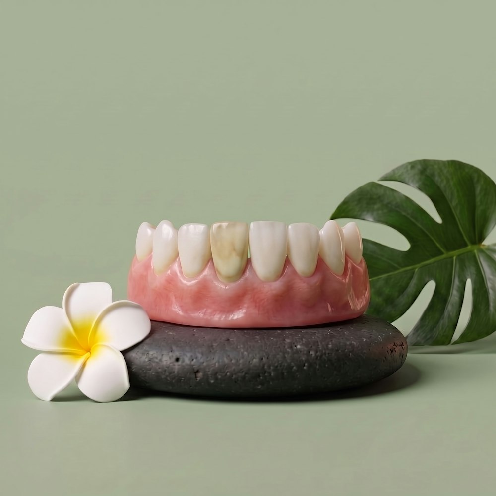model jaw against sage green background showing stained teeth