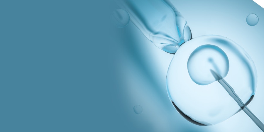 ivf needle inserted into egg