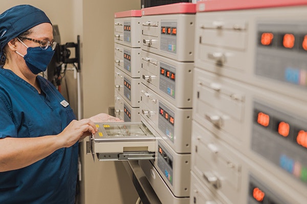 Medical personnel looking at egg freezing storage device