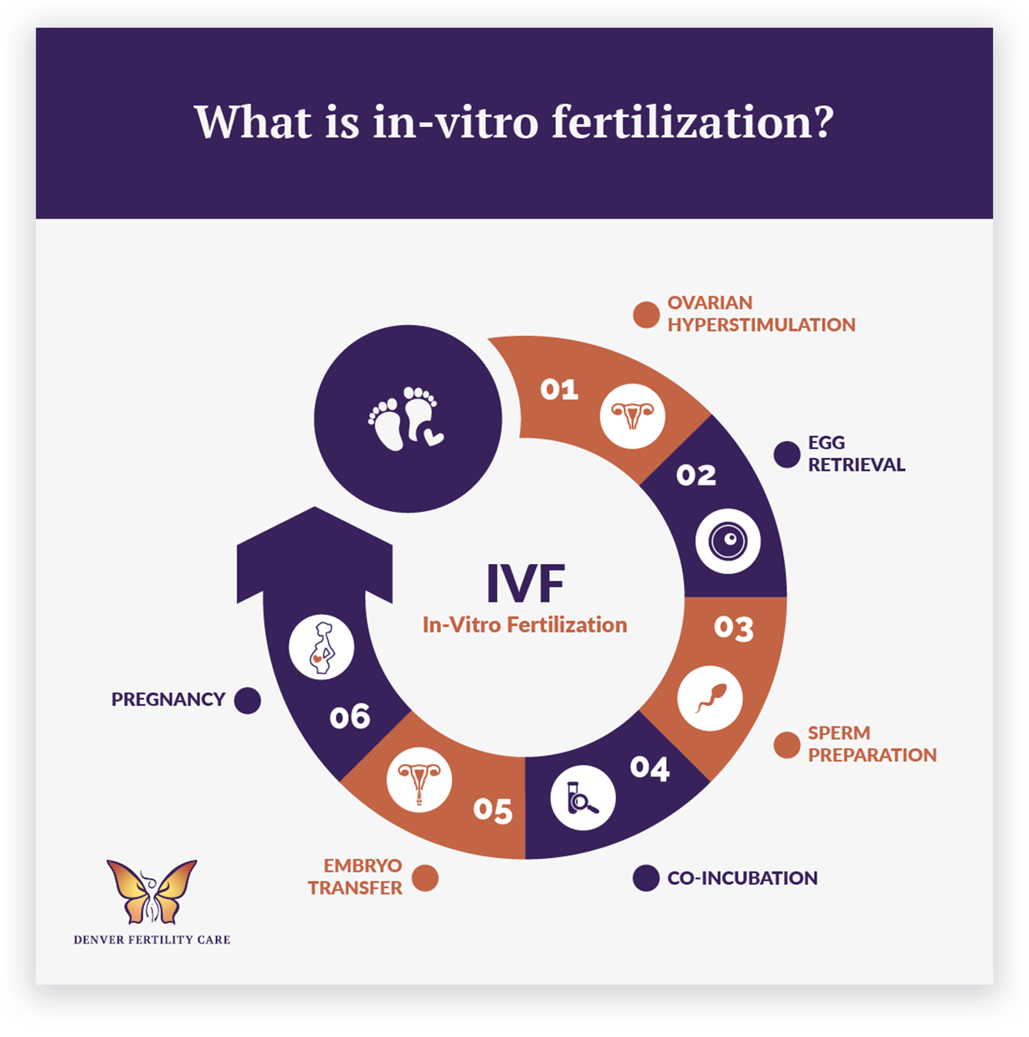 IVF graphic