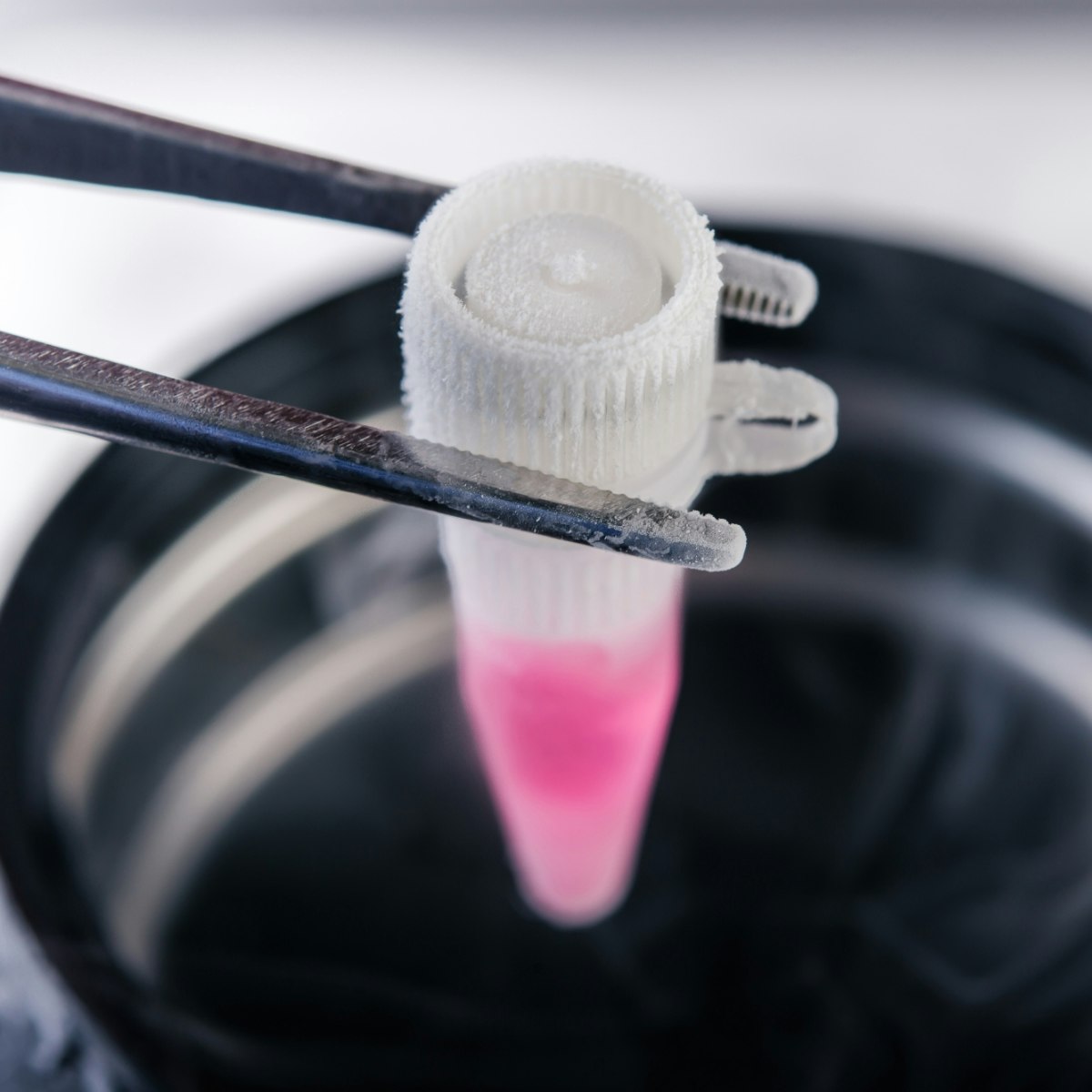 vial coming out of cyro representing sperm and egg donation