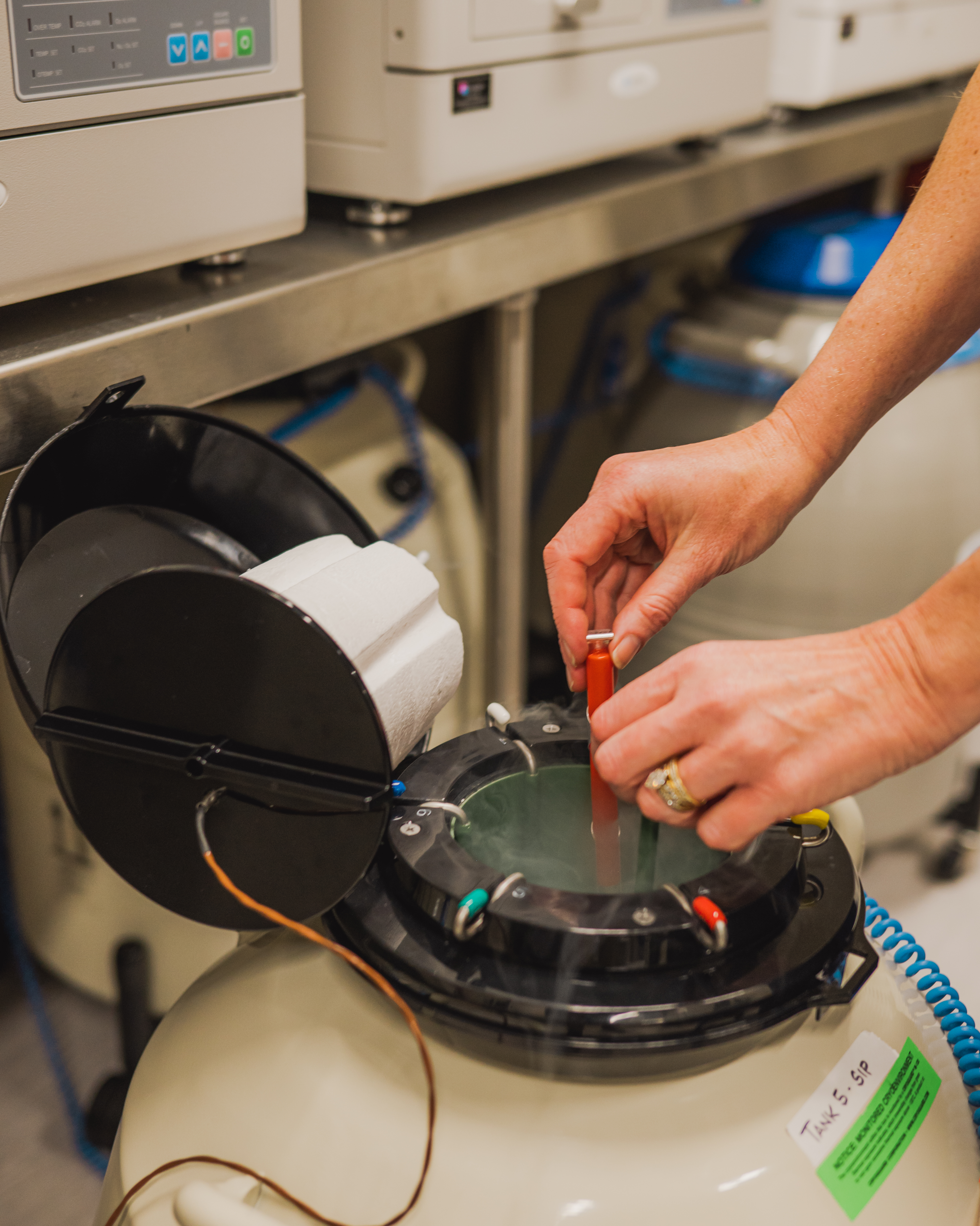 Embryologist placing samples into cryopreservation storage at Denver Fertility Care