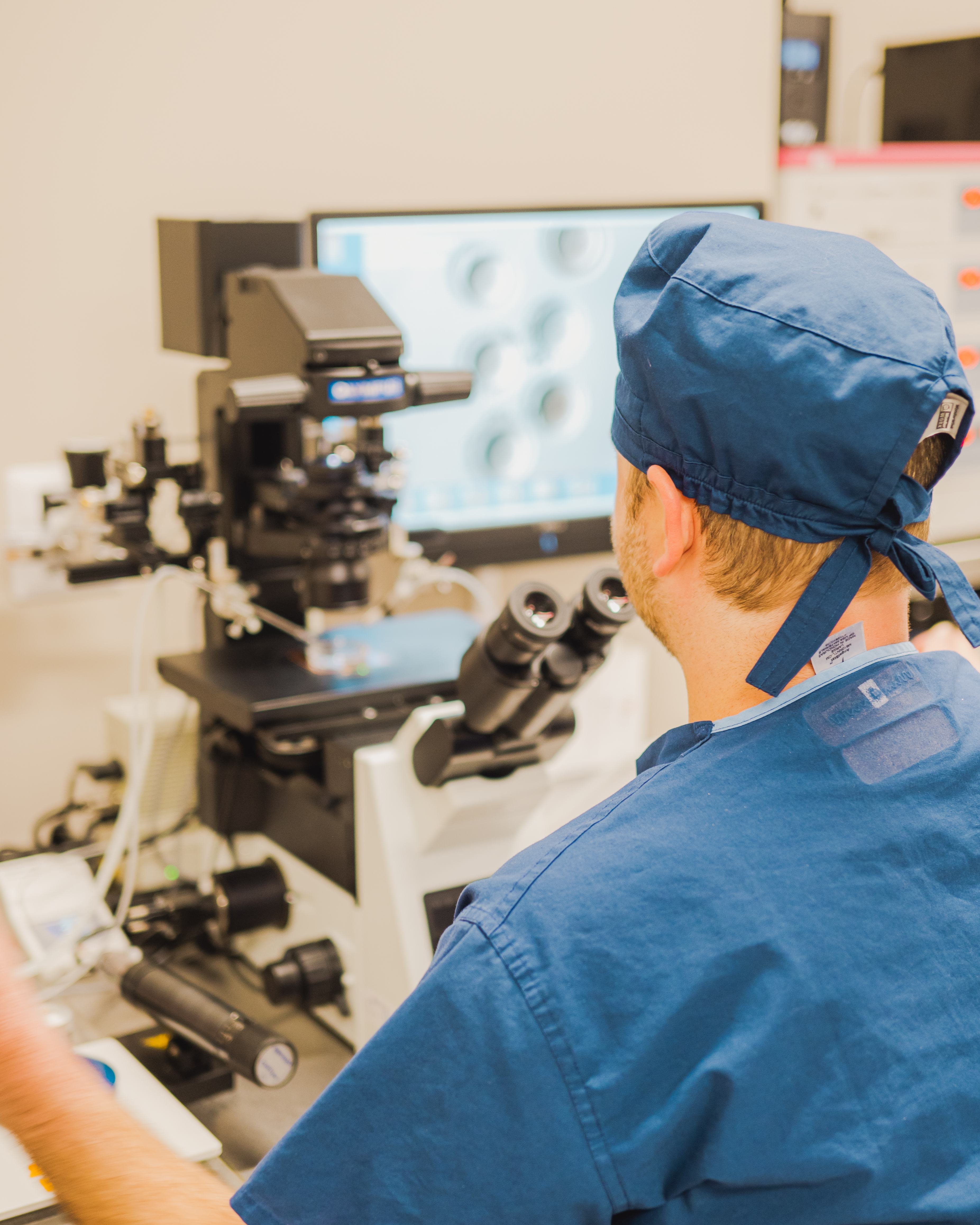 Lab technician at work in our IVF laboratory