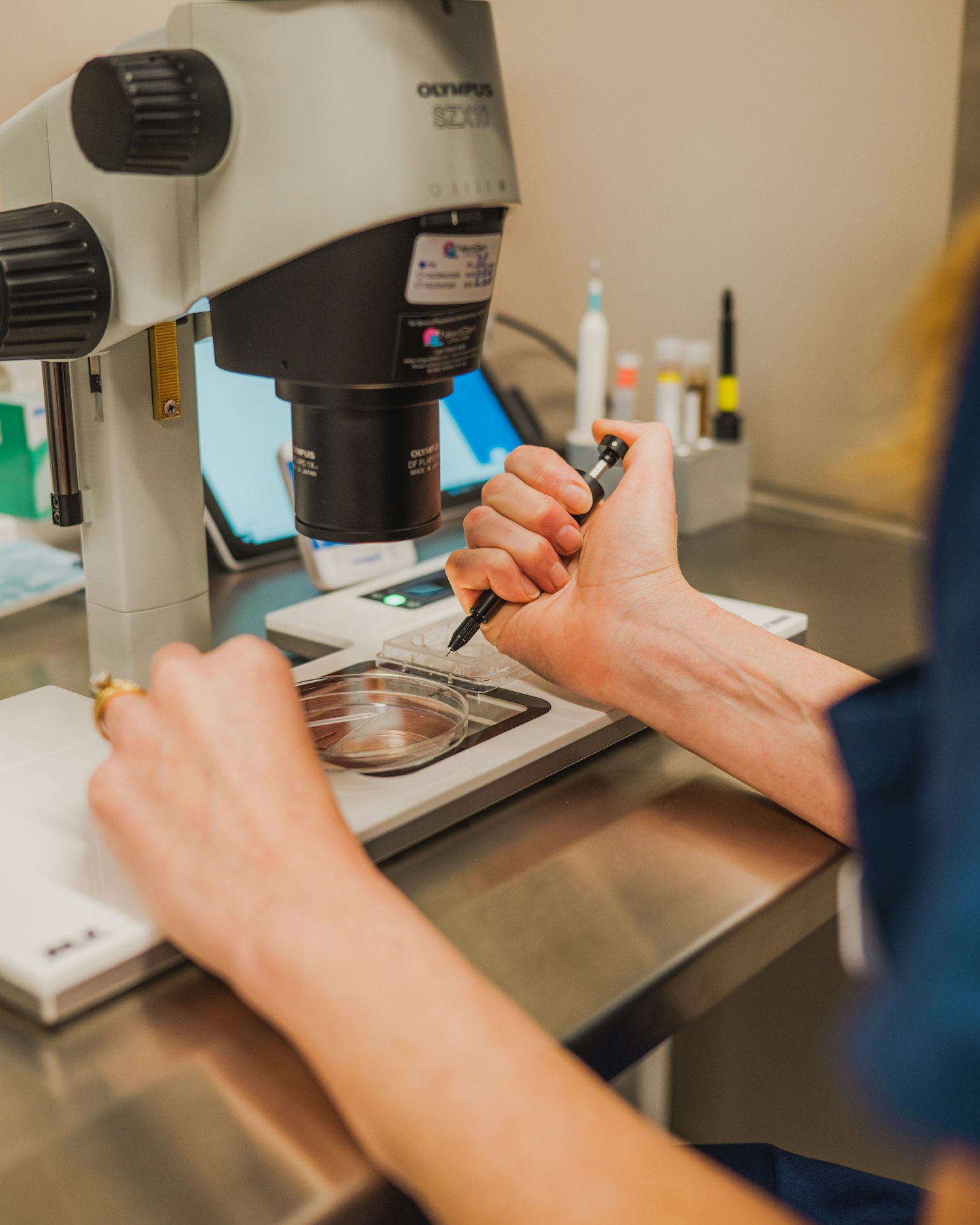 IVF lab technician at work