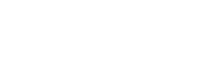 Holley Dental Group