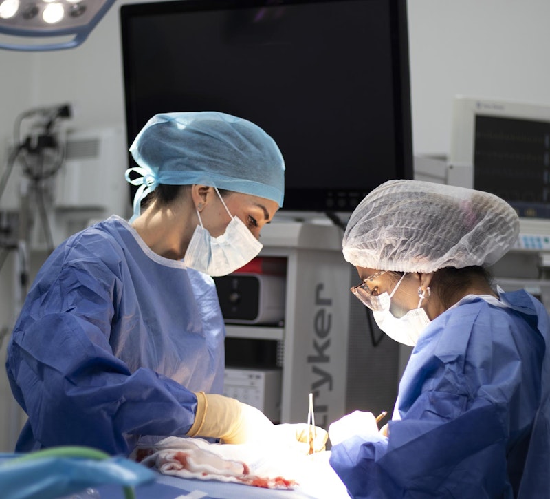 Dr. Martinez and team member doing an operation
