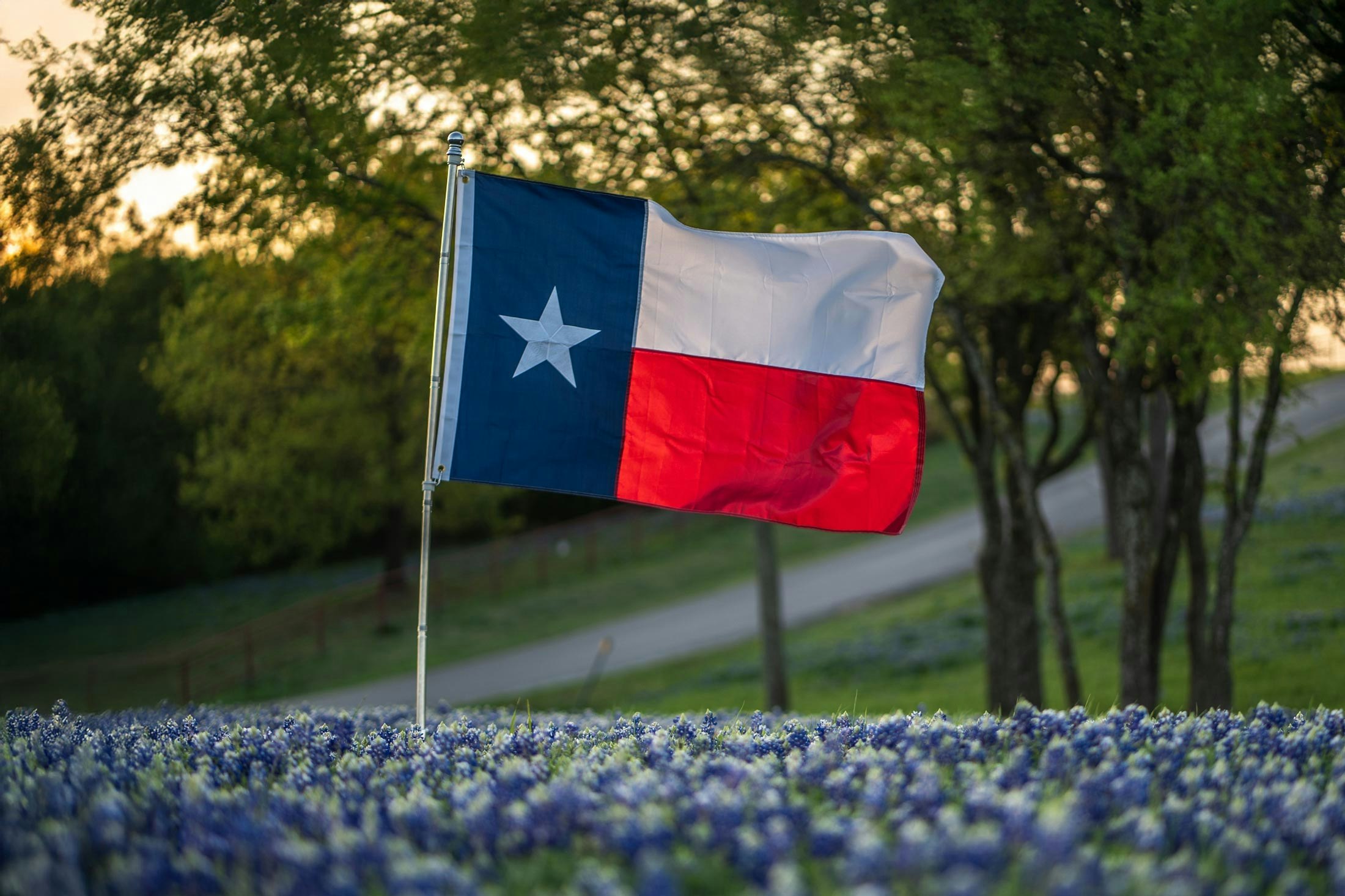 Texas state flag