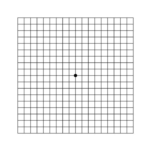 Amsler Grid