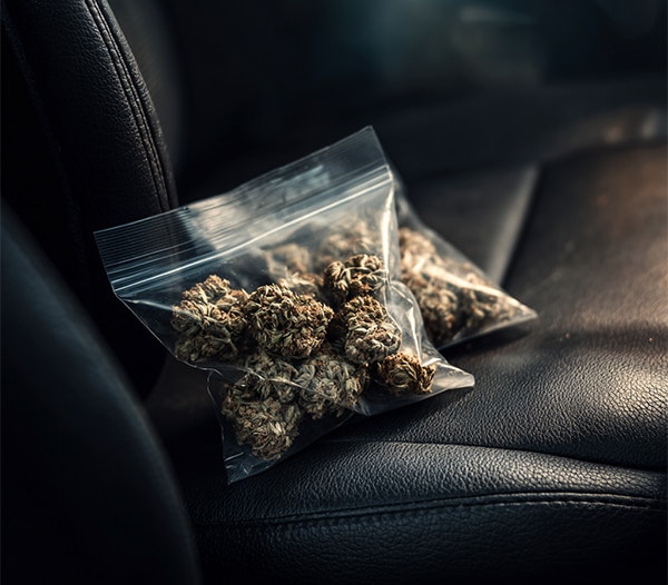 Plastic bag filled with cannabis buds resting on a black leather car seat