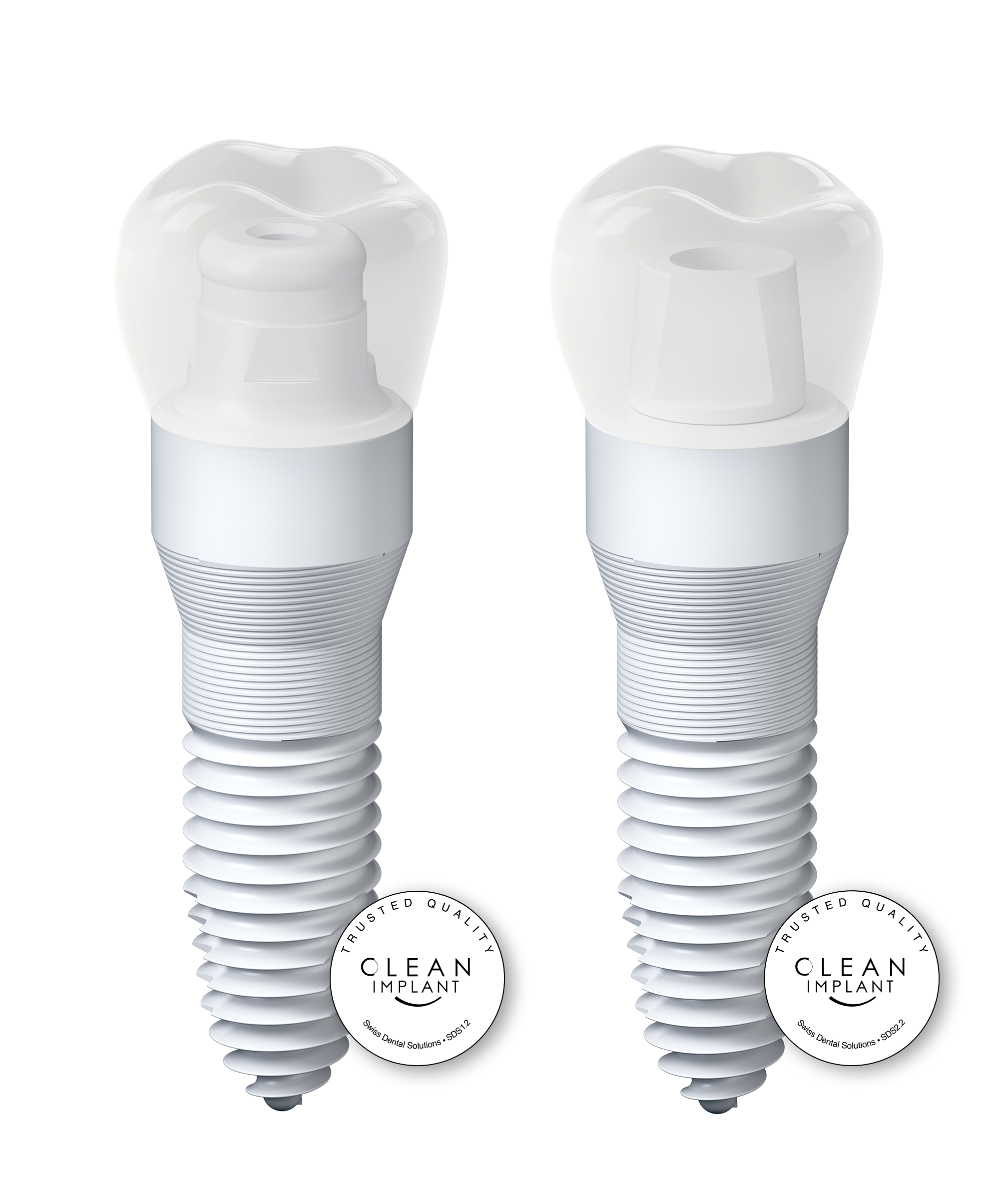 Illustration of a ceramic implant