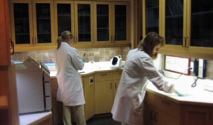 Staff working in lab