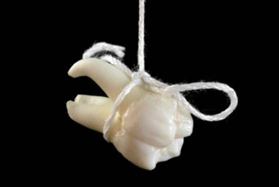 tooth from roots hanging from string