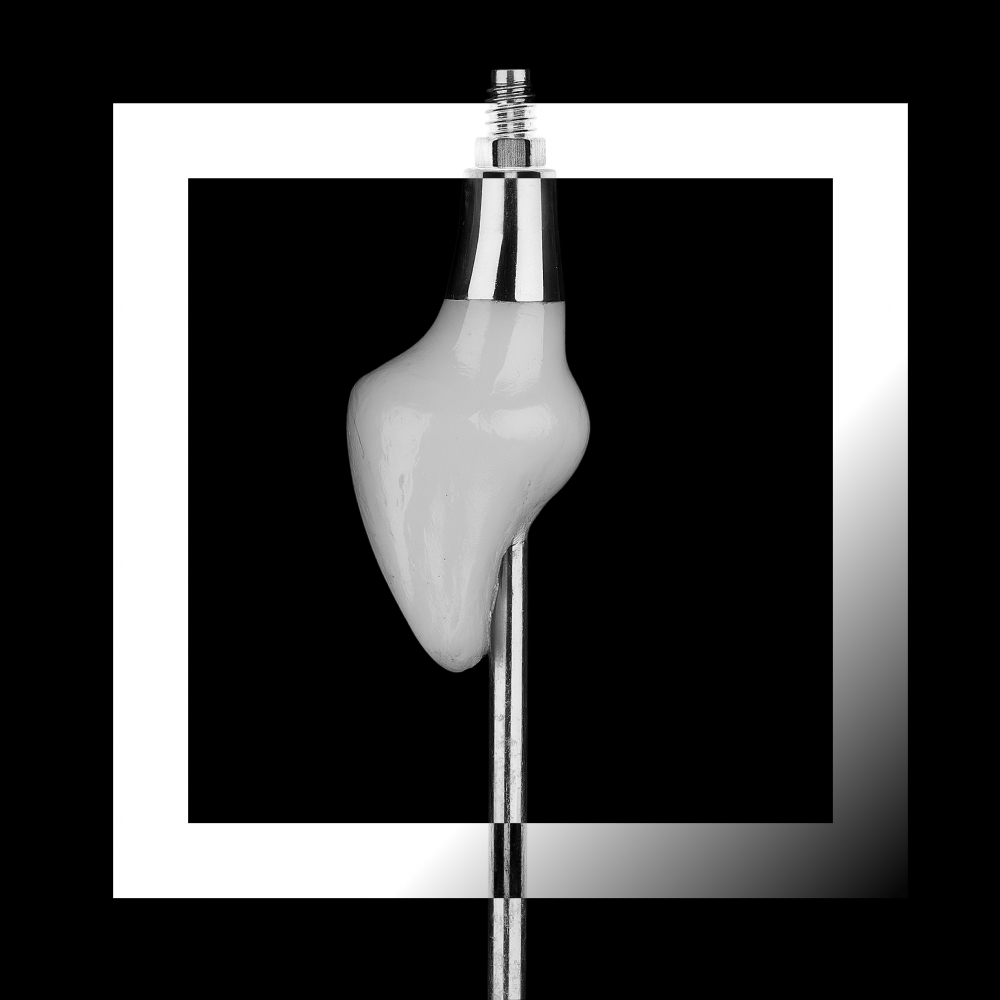 implant-supported crown