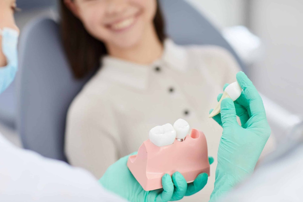 dentist showing patient model jaw