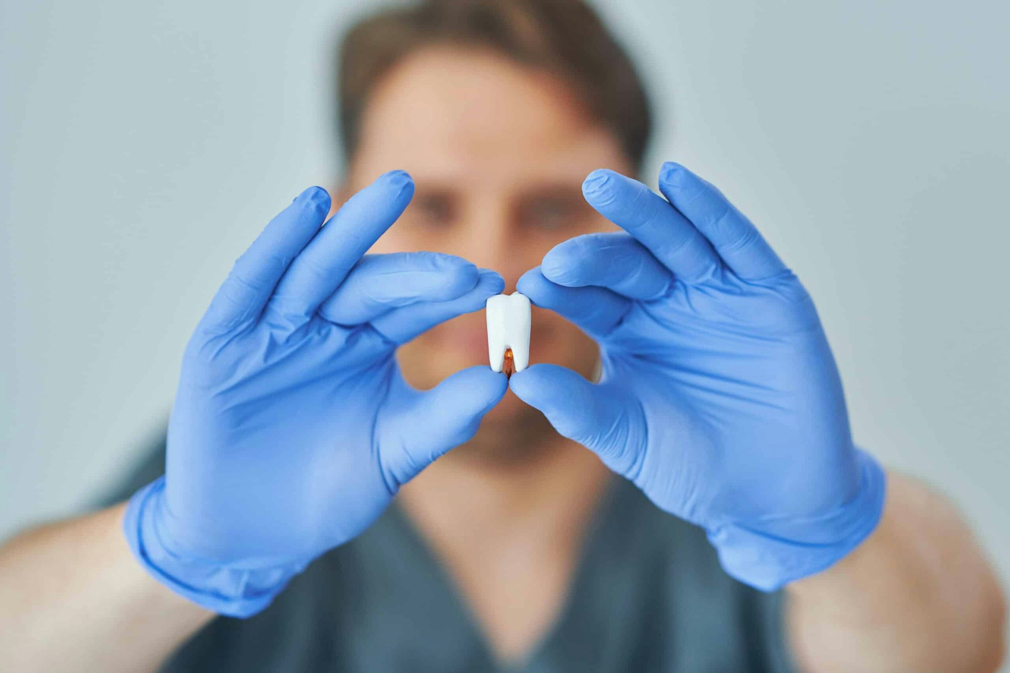 dentist holding up model tooth