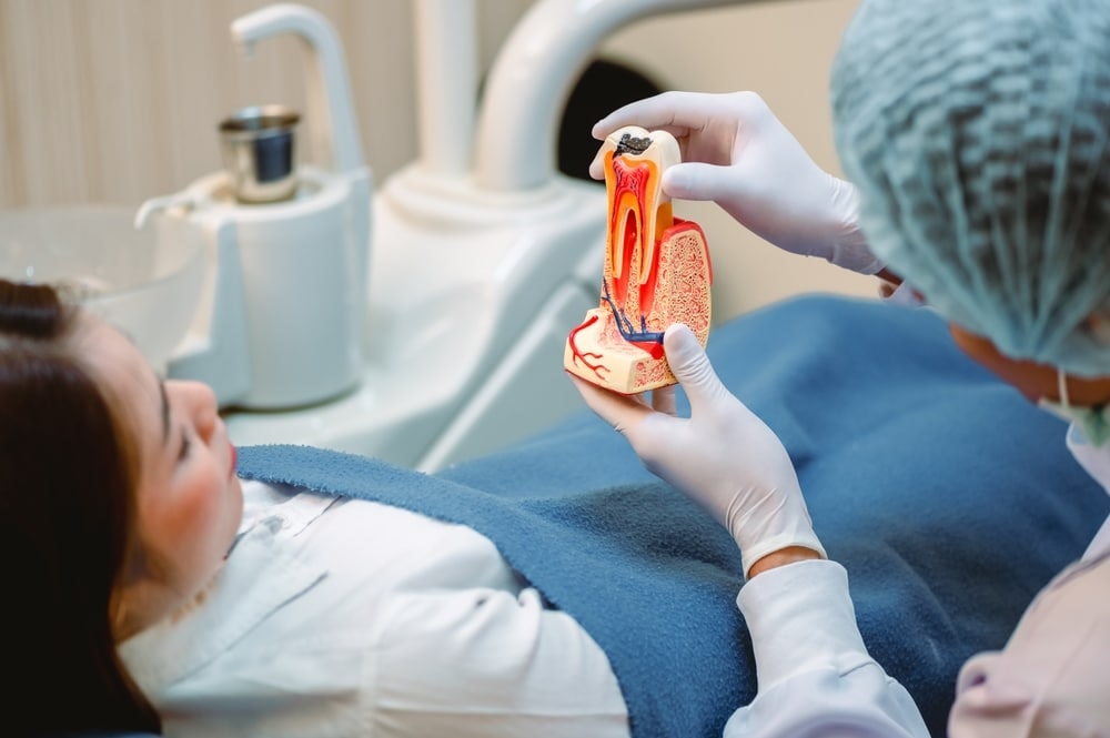 dentist showing patient a model tooth