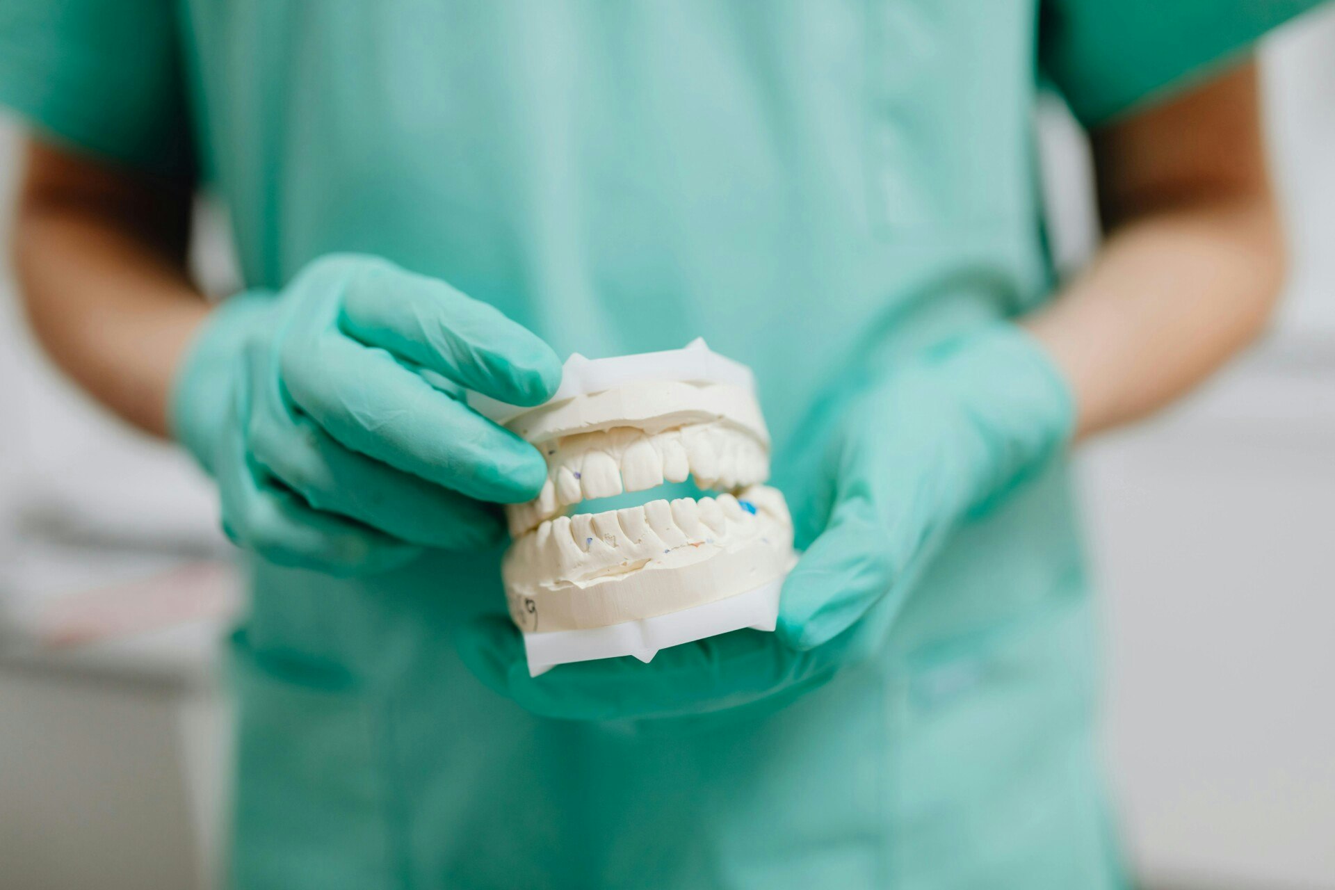 dentist holding model teeth