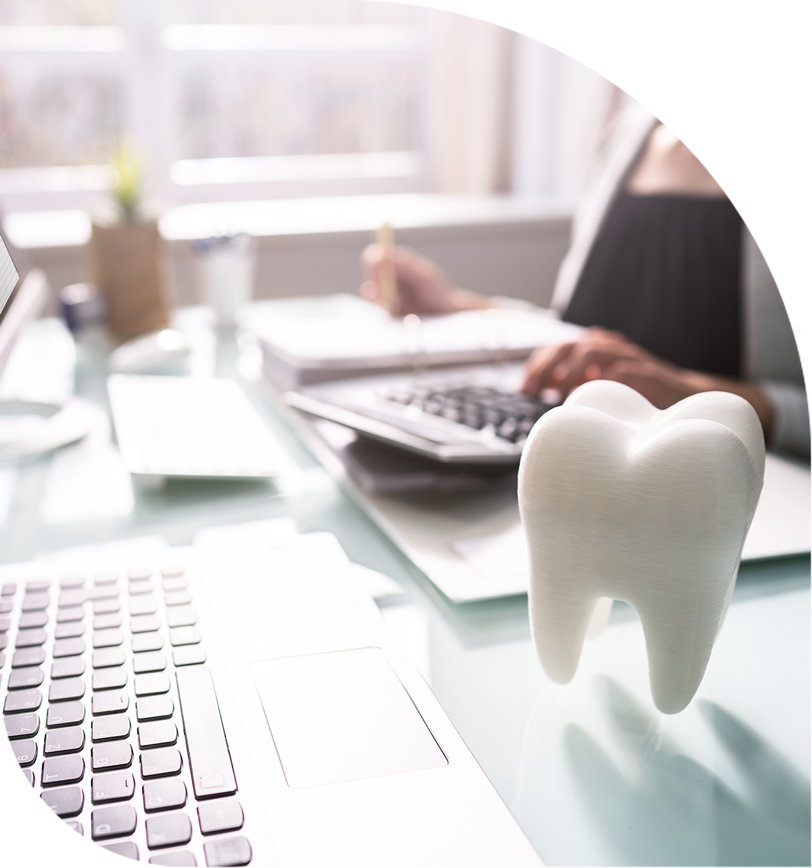 model tooth and laptop