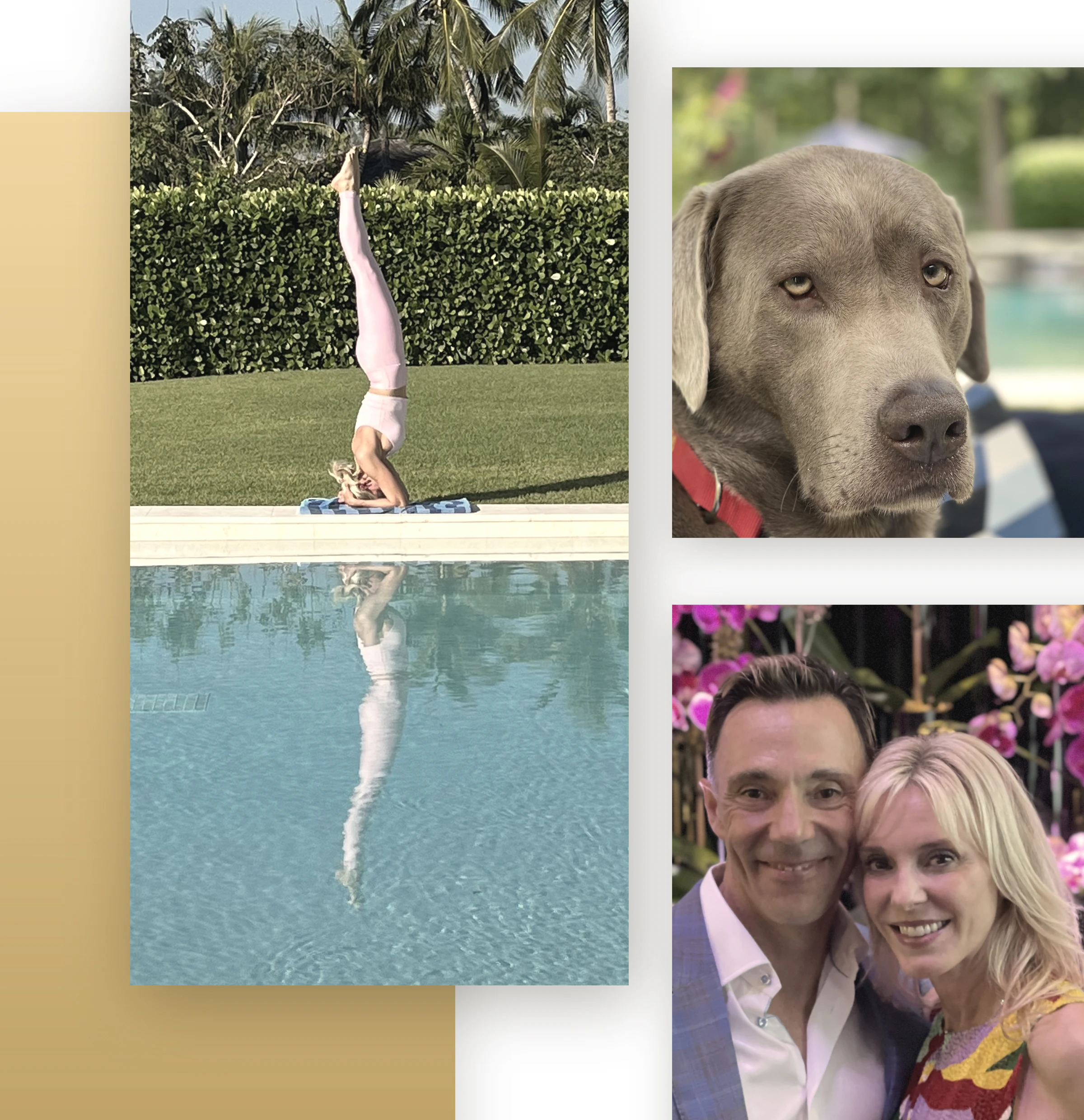 Collage of Dr. Mary Viechnicki doing yoga, with her husband and a picture of her dog