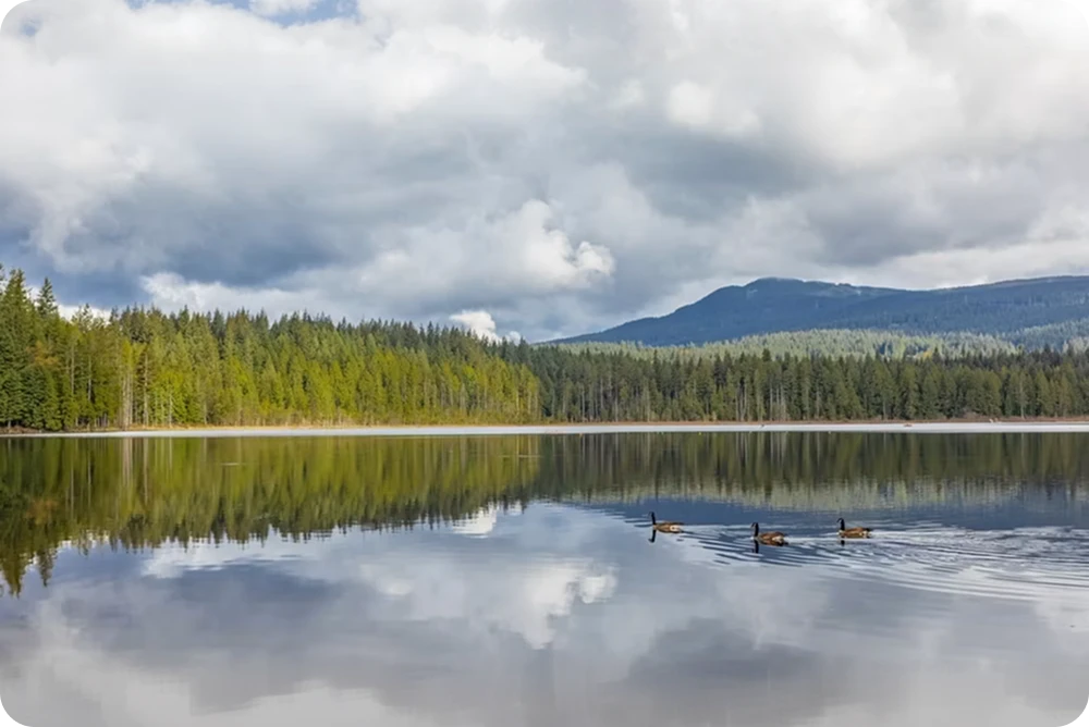 Landscape with lake in foreground with woods and mountains in the backgroud