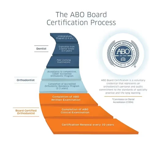 diagram of the ABO Board Certification process