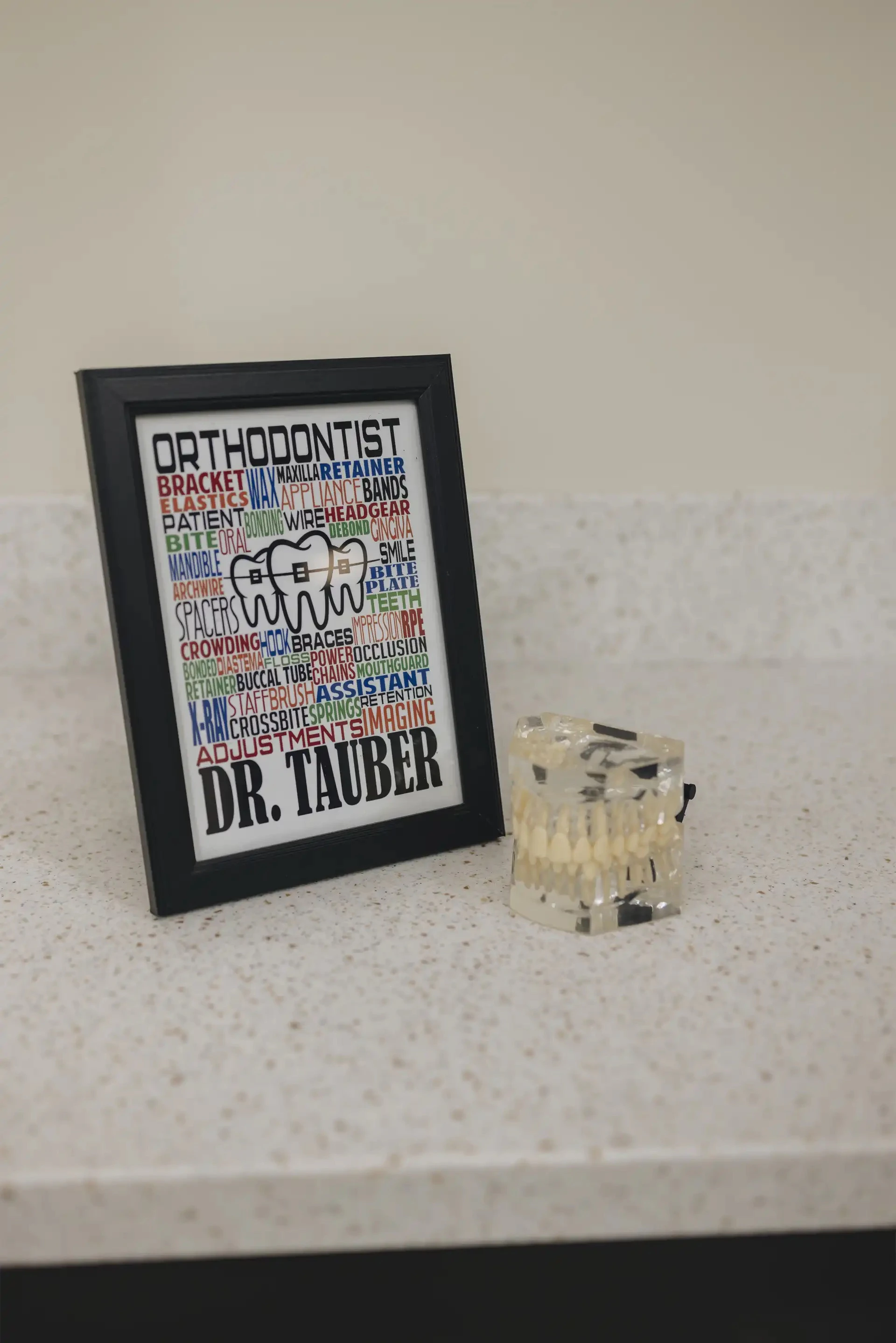 framed photo and model teeth